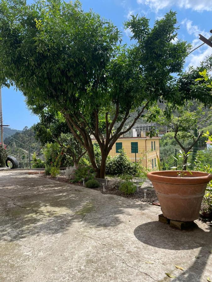 La Casa Di Silvio Tra Le 5 Terre E Portofino Deiva Marina Exterior photo