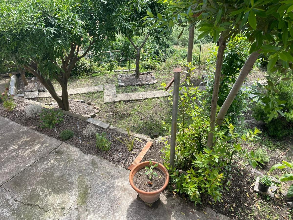 La Casa Di Silvio Tra Le 5 Terre E Portofino Deiva Marina Exterior photo